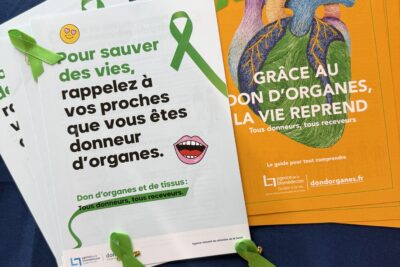 Agrandir l'image 1 sur 3, fenêtre modale