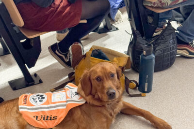 Agrandir l'image 2 sur 2, fenêtre modale